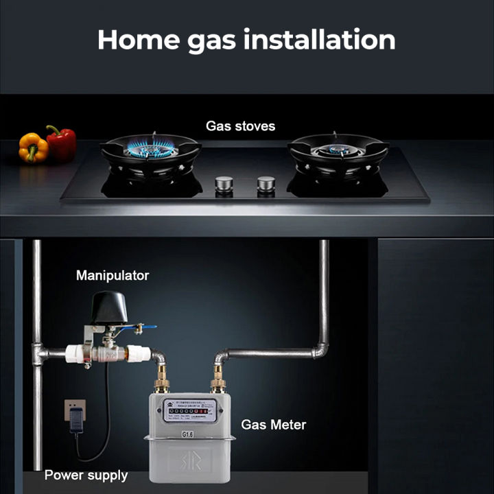 SMATRUL%20Tuya%20WiFi%20Water%20and%20Air%20Valve%20Control%20Electric%20Smart%20Home%20Switch%20Controller%20For%20Farm%20Garden%20Home%20EU%20UK%20US%20Plug%20Works%20with%20Tmall%20Genie,%20Alexa%20and%20Google%20Assistant%20No%20Hub%20Required%20-%20Image%205