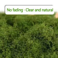 【Exclusive Offer】 100g Home Decor Simulated Moss Turf Biomimetic Artificial Moss Garden Micro Landscape Layout Ornaments Lawn Bonsai.