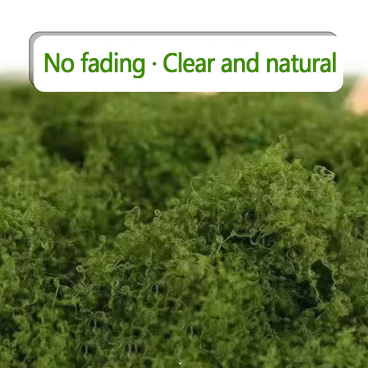 %E3%80%90Exclusive%20Offer%E3%80%91%20100g%20Home%20Decor%20Simulated%20Moss%20Turf%20Biomimetic%20Artificial%20Moss%20Garden%20Micro%20Landscape%20Layout%20Ornaments%20Lawn%20Bonsai%20-%20Image%203