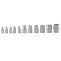 11Pc Female E Torx Star Socket Set Rail E4 - E20 External Star Torque Socket Set.