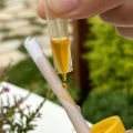 1Pc/Set Plastic Trap Catcher Insect Control Farm Orchard Fruit Fly Trap Cap Can Be Matched With Water Bottle. 