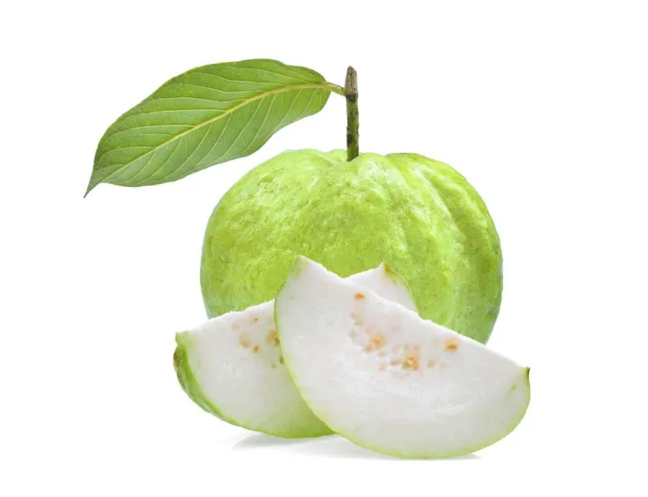 Indispensable%20-%20Hybrid%20Guava%20(pear)%20Fruit%20Seeds%20-%2020%20Pieces.%20Barisailla%20kaji%20peyara%20bij.%20-%20Tools,%20DIY%20&%20Outdoor%20-%20Modern%20and%20Trendy%20-%20Image%203