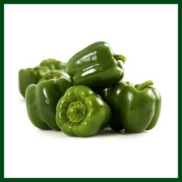 Global%20Green%20Capsicum%20Vegetable%20Tree%20Seeds%20-%2020%20Pcs%20Seeds%20-%20Image%205