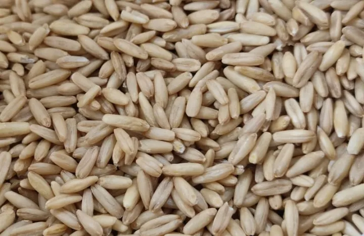 Bird%20Food%20Oats%20-500g%20%20For%20Birds%20-%20Image%202