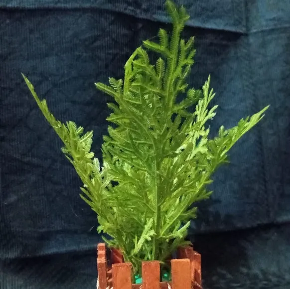 Artificial%20Plastic%20Palm%20Plant%20Tree%20-%20Image%202