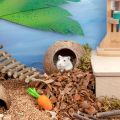 Coconut Hut Hamster House Bed for Gerbils Mice Small Animal Cage Habitat Decor.