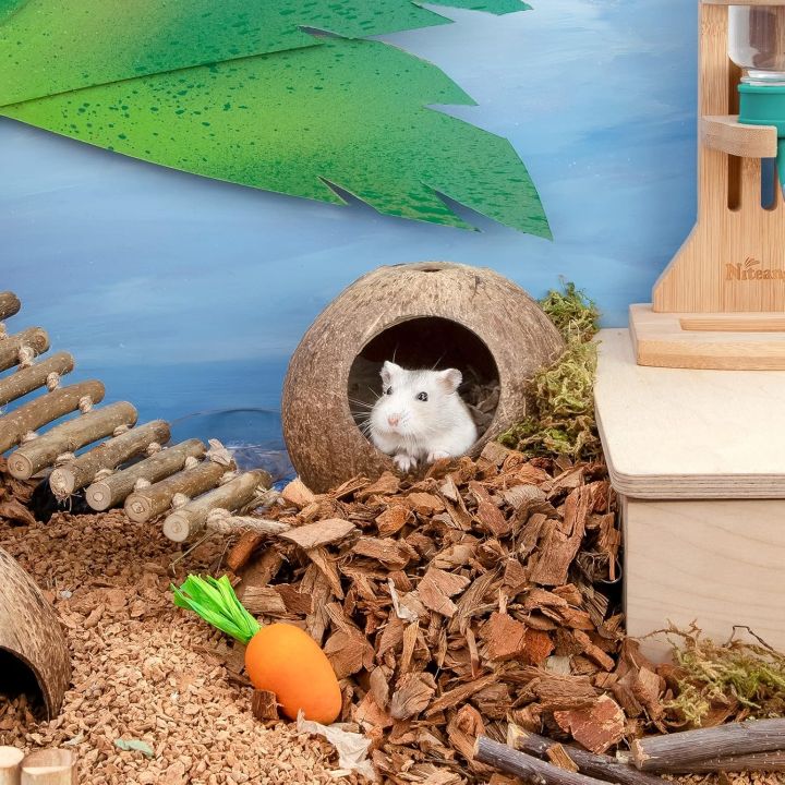 Coconut%20Hut%20Hamster%20House%20Bed%20for%20Gerbils%20Mice%20Small%20Animal%20Cage%20Habitat%20Decor%20-%20Image%205