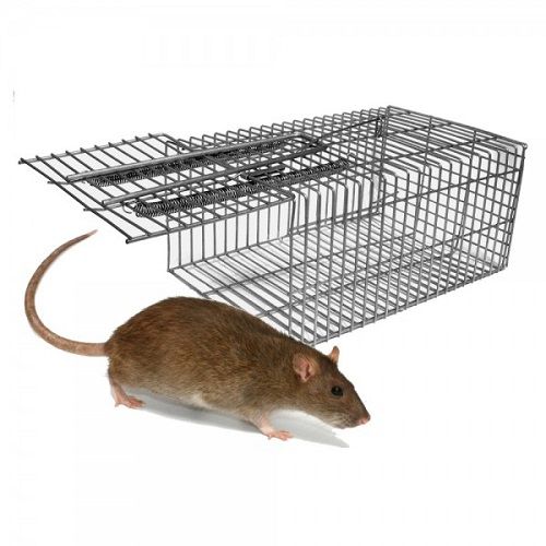 Rat%20&%20Mouse%20Catching%20Trap%20-%20Image%202