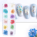 Flower Nail Art Decoration Real Mini Dried Blossom Natural Floral Stickers Nail Charms DIY Manicure Nails Accessories Home Salon MIO Super Store. 