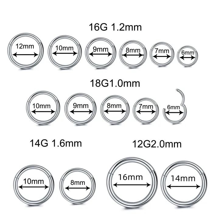 1/10PCS%20Surgical%20Steel%206-16mm%20Nose%20Ring%20Hinged%20Clicker%20Segment%20Nose%20Rings%20Helix%20Cartilage%20Septum%20Hoop%20Earrings%20Piercing%20Jewelry%20-%20Image%202