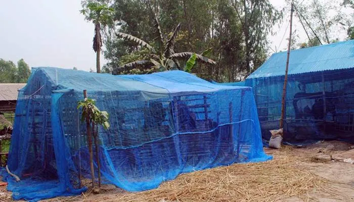 Cow%20Shed%20Mosquito%20Net%20House%20Fly%20Disease%20Irritation%20Protection%20Net-%205%20Goj%20-%20Image%206