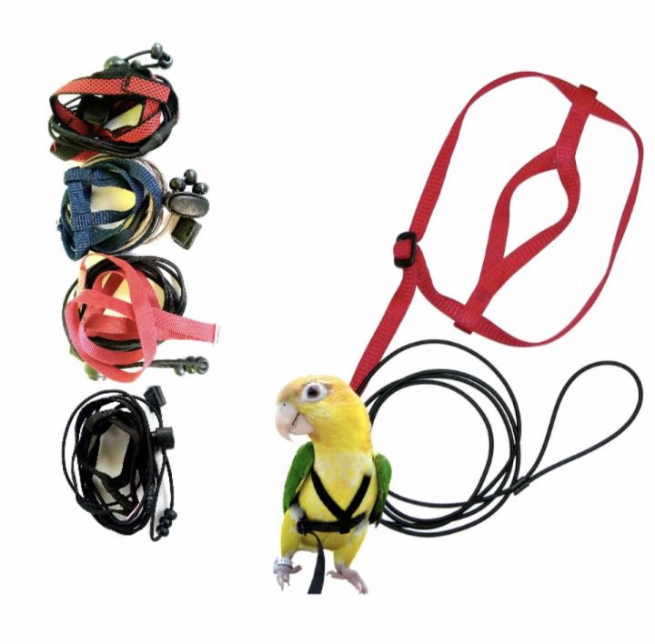 Adjustable%20Parrot%20Bird%20Harness%20Leash%20Anti-Bite%20Flying%20Training%20Rope%20Pet%20Outdoor%20Traction%20Fit%20Budgerigar%20Lovebird%20Cockatiel%20Mynah%20Small%20Birds%20-%20Image%203