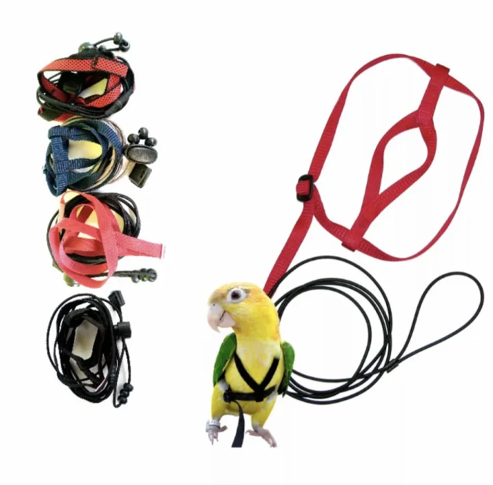 Adjustable%20Parrot%20Bird%20Harness%20Leash%20Anti-Bite%20Flying%20Training%20Rope%20Pet%20Outdoor%20Traction%20Fit%20Budgerigar%20Lovebird%20Cockatiel%20Mynah%20Small%20Birds%20-%20Image%203