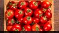 Japanese Tomato Biz 25 Piece SEEDS Home Tuber. 