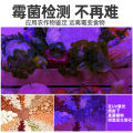 Shenyu / Shenyu purple light 365nm ultraviolet money detection jade jade jade identification strong light hand. 