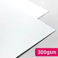 Premify 50Pcs Blank White Cards, 300GSM 50 Sheets A4 Size Cardstock Premium Thick Paper Printer Arts Craft Card. 