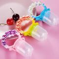 New Baby Food Feeder Soother Teether for Eating Fresh Fruit Vegetables Meat. 