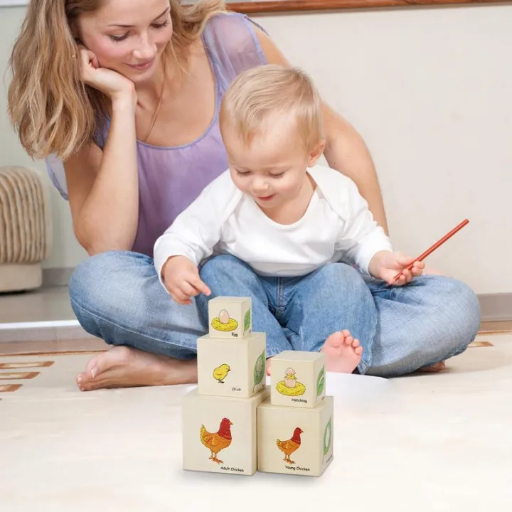 Life%20Cycle%20Toys%20Montessori%20Wooden%20Blocks%20Life%20Cycle%20Kit%20Toy%20Stacking%20Blocks%20Kids%20Figure%20Match%20Set%20Toy%20Stacking%20Block%20Sets%20-%20Image%207