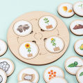 Life Cycle Board Animal Plant Life Cycle Wooden Jigsaw Puzzle Biology Science Education Toys Teaching Aids. 