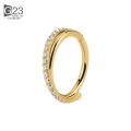 G23 Titanium Implant Grade Hinged Seamless Earrings Clicker Hoop Ring for Cartilage Helix Rook Septum Daith Tragus Conch. 