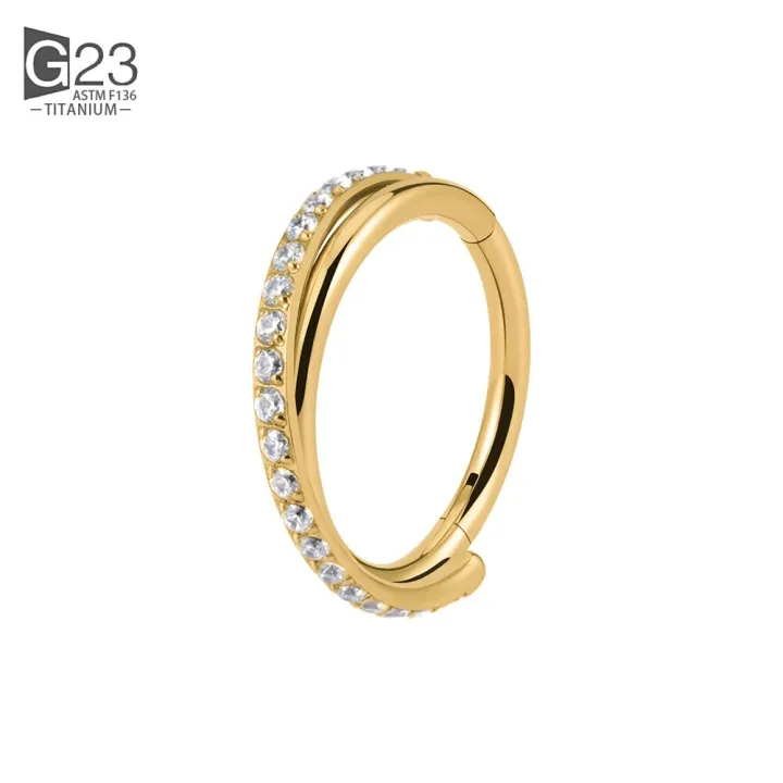 G23%20Titanium%20Implant%20Grade%20Hinged%20Seamless%20Earrings%20Clicker%20Hoop%20Ring%20for%20Cartilage%20Helix%20Rook%20Septum%20Daith%20Tragus%20Conch%20-%20Image%207