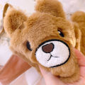 Superman Girls Plush Bear Underwear Cute No Steel Rings Gather Cat Claw Bra Set Comfortable Women Lingerie with Panties Suit. 