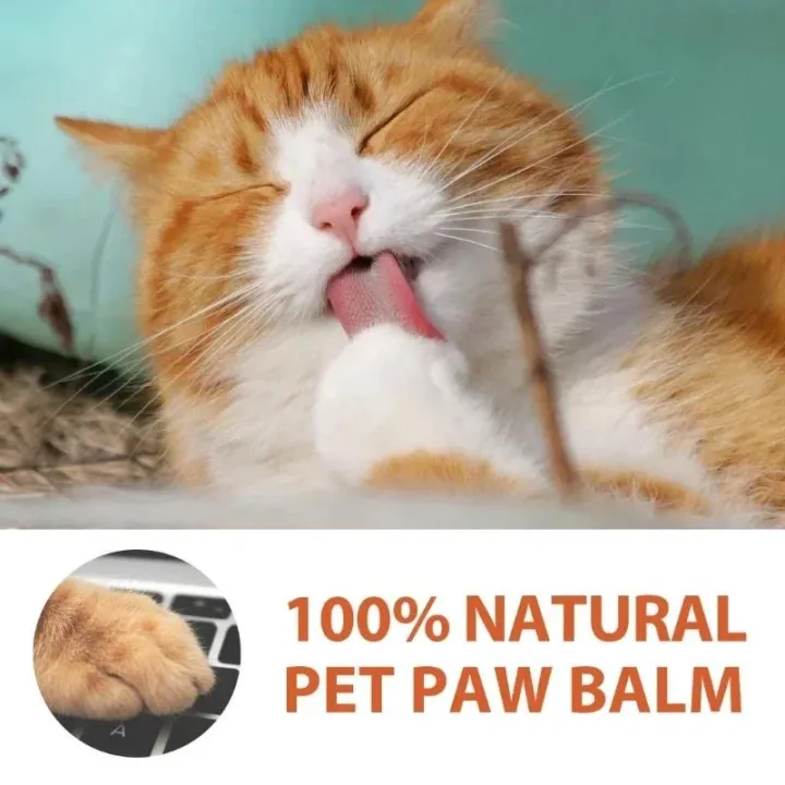 TOUA%20Choice%20Paw%20Balm%20Dogs%20Cat%20and%20Dog%20Nose%20Balm%2030/60G%20Foot%20Care%20Cleaner%20Dog%20Bath%20Foot%20Pad%20Protective%20Oil%20for%20Cracked%20Paw%20Care%20-%20Image%205