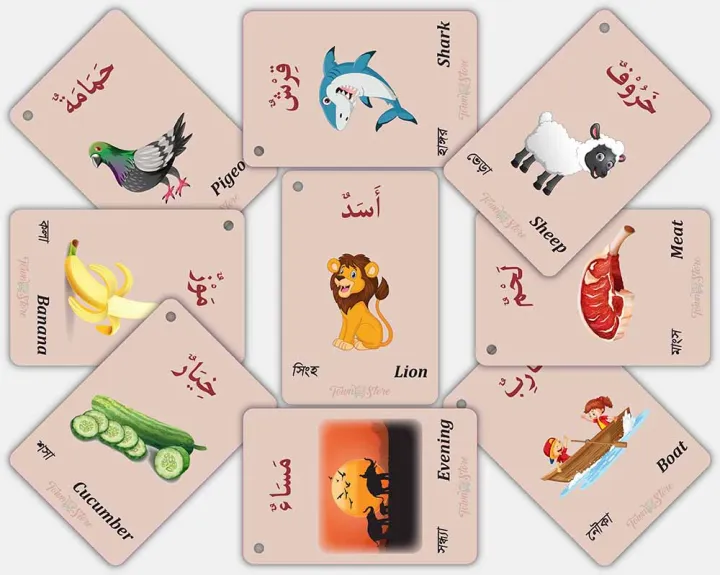 TownStore%20Early%20learning%20Preschool%20Arabic%20Activity%20Flash%20Cards%20for%20Ages%203+%20Kids%20Including%20Alphabet,%20Numbers,%20Colors,%20Shapes,%20Days,%20Months,%20Vocabulary%20with%20Brainstorming%20Activities%20-%2098%20Flash%20Card%20-%20Image%208