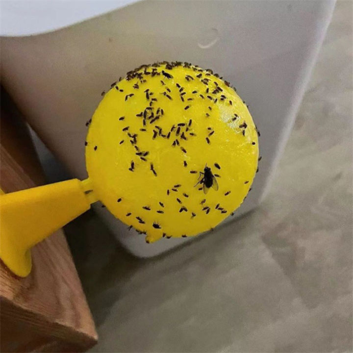 Sticky%20Traps%20Flying%20Insects%20Traps%20Ball%20Effective%20Fly%20Catcher%20Killer%20Fruit%20Fly%20Killer%20For%20Plants%20Catching%20Fruit%20Insects%20-%20Image%204