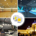 AC110/220V COB LED plant full spectrum - 100W-110V-Cool White. 