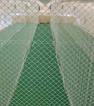 Cricket%20Practice%20Net%20-%20Size%2042%20X%208%20Feet%20For%20Optimal%20Training%20Sessions%20And%20Skill%20Development%20-%20Durable%20And%20Reliable%20Net%20For%20Cricket%20Enthusiasts%20-%20Image%204
