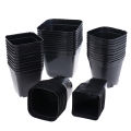 10pc Black Flower Pots Plastic Pots Small Square Pots for Succulent plants Layor. 