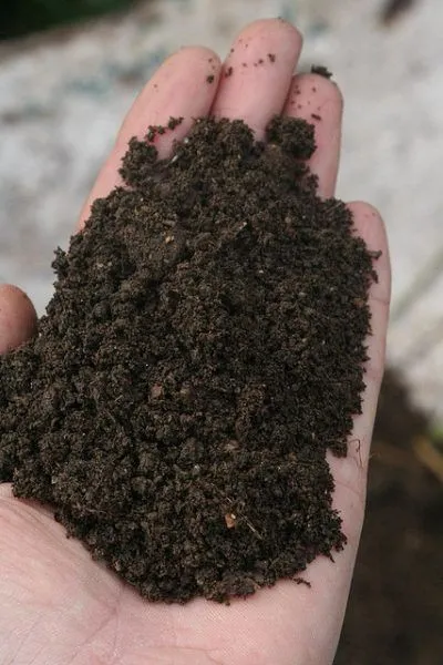 Premium%20Varmicompost%20Fertilizer%202%20KG%20(Natural%20Vermicompost)Garden%20Soil%20And%20Fertilizer%20-%20Image%203
