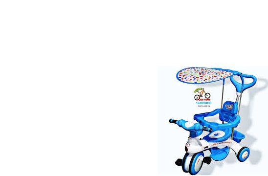 RFL Jim & Jolly Rock Rider Complete 9M - Pink/Blue Tricycle For Baby ...