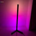 Color Changing RGB Mood Lighting Metal LED Wall Corner Floorlamp. 
