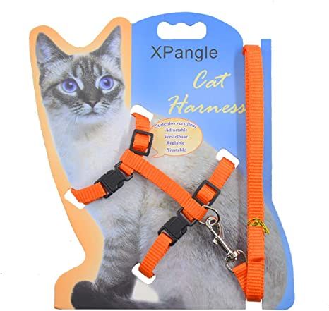Adjustable%20Nylon%20Pet%20Cat%20Harness%20and%20Leash%20%20Kitten%20Belt%20Collar%20with%20lead%20-%20Cat%20Belt%20-%20Image%202