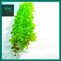 Artificial Grass Barai Leaf 3/7 Pair small 12 inch and large 24 inch combinations For Home and Office Decoration Beautification Occasions.