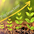Unique Make - Npk fertilizer 19-19-19 fertilizer 100 g plants restore water soluble fertilizer for Indian - Sustainable Option. 
