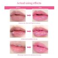 Pink Lip Serum Moisturizing Fresh Effective Reduce Pigmentation Exfoliating Plumper Care Cosmetics. 