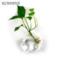 Exceotional Quality - ECHIDNA Flower Planter Pot Water Drop Wall Hanging Glass Flower Vase - Sustainable Option - Expression of Yourself.