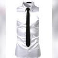 Silk formal Glossy Tie for Mens. 