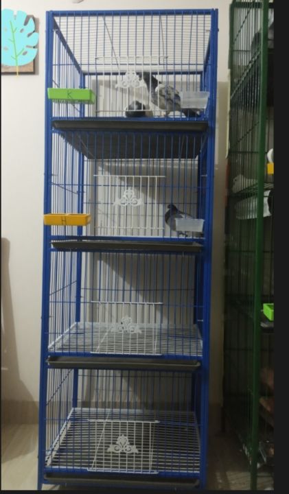 4%20Floor%20Nut%20System%20Folding%20Cage%20Made%20by%2013no%20Wire%20Size%2024/18/14%20inchi%20Cash%20On%20Delivery%20Available%20-%20Image%203