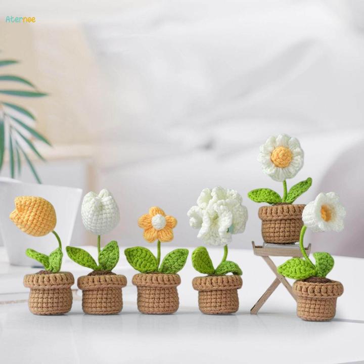 Crocheted Planter Crocheting Craft Table Centerpieces Crochet Kit for Kid Teens Beginners