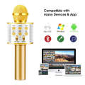 Wireless Bluetooth Karaoke Microphone Speaker WS858 Portable Handheld. 