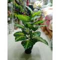 Artificial Plastic Plant Tree - 6. 