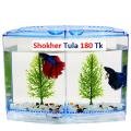 Betta House Double (Betta Fish Aquarium).