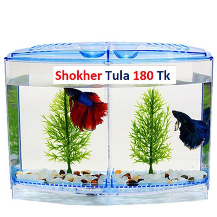 Betta%20House%20Double%20(Betta%20Fish%20Aquarium)%20-%20Image%204