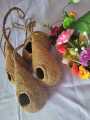 Handmade organic bird nest - Babui Pakhir Basha.