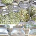 Set of 6 Stainless Steel Sprouting Jar Lid Kit for Superb Ventilation Fit for Wide Mouth Mason Jars Canning Jars. 