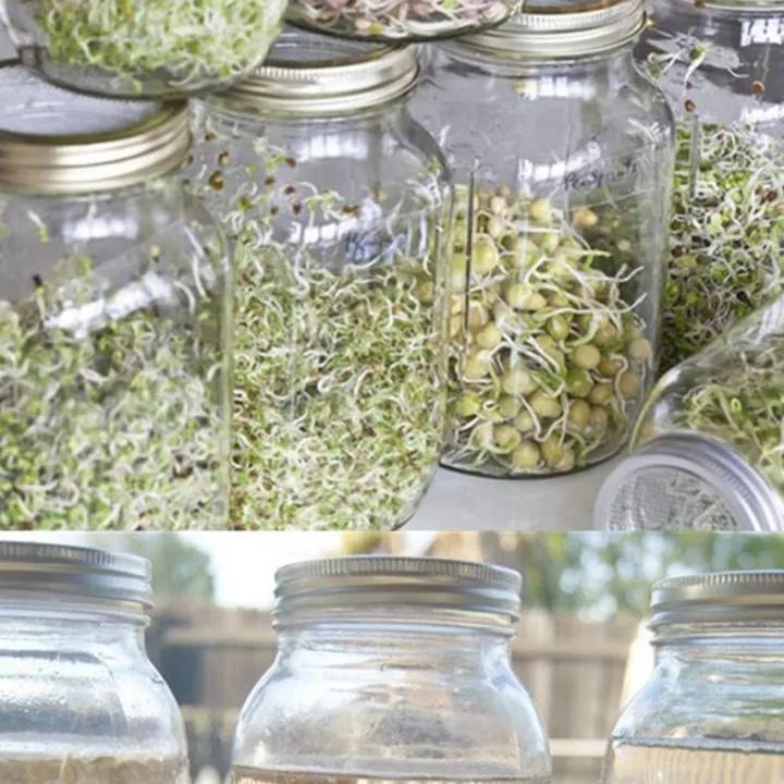 9x%20Stainless%20Steel%20Sprouting%20Jar%20Lid%20Kit%20for%20Superb%20Ventilation%20Fit%20for%20Wide%20Mouth%20Mason%20Jars%20Canning%20Jars%20-%20Image%202